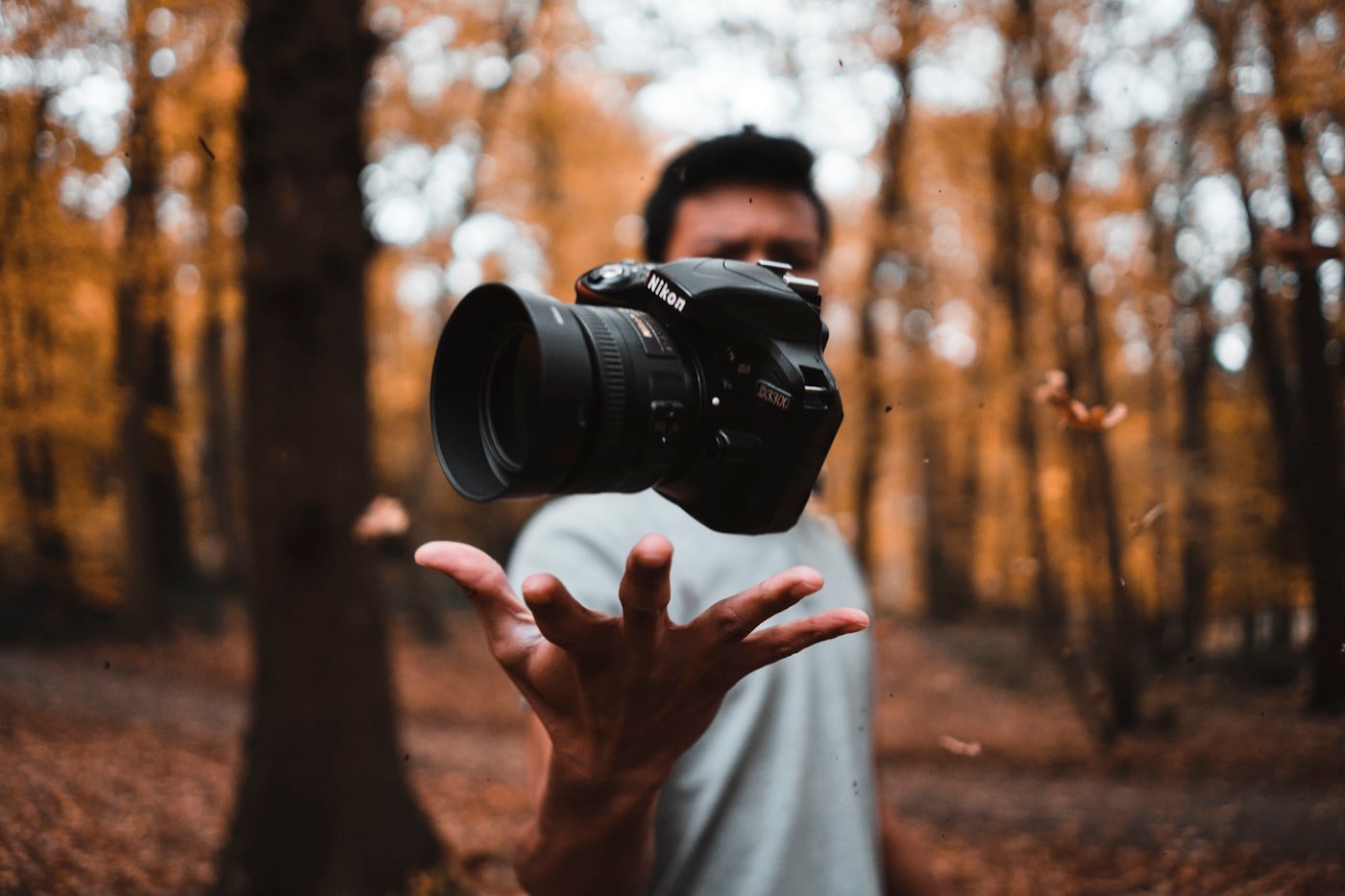 Photograph being reviewed before exporting a smaller file